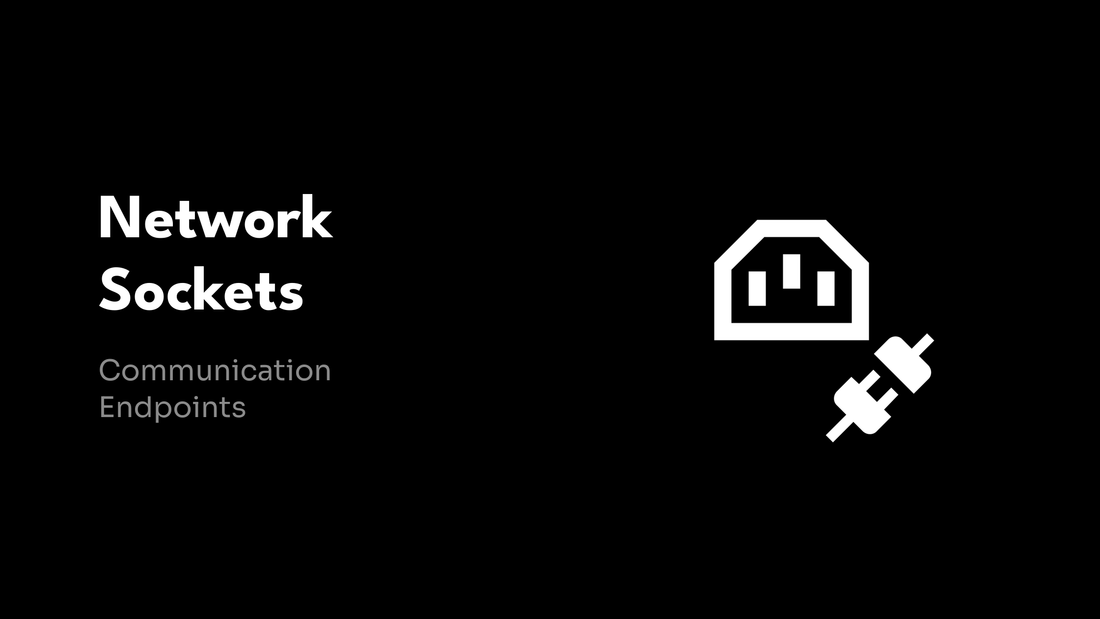 Network Sockets - Communication Endpoints