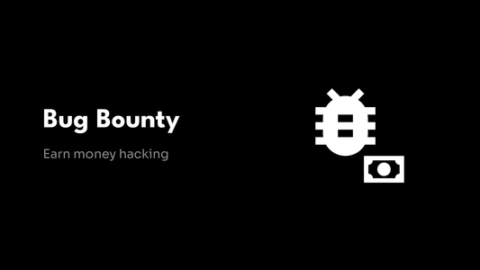 Bug Bounty - Earn money hacking
